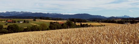 sommer_2026_h_950x300.jpg
